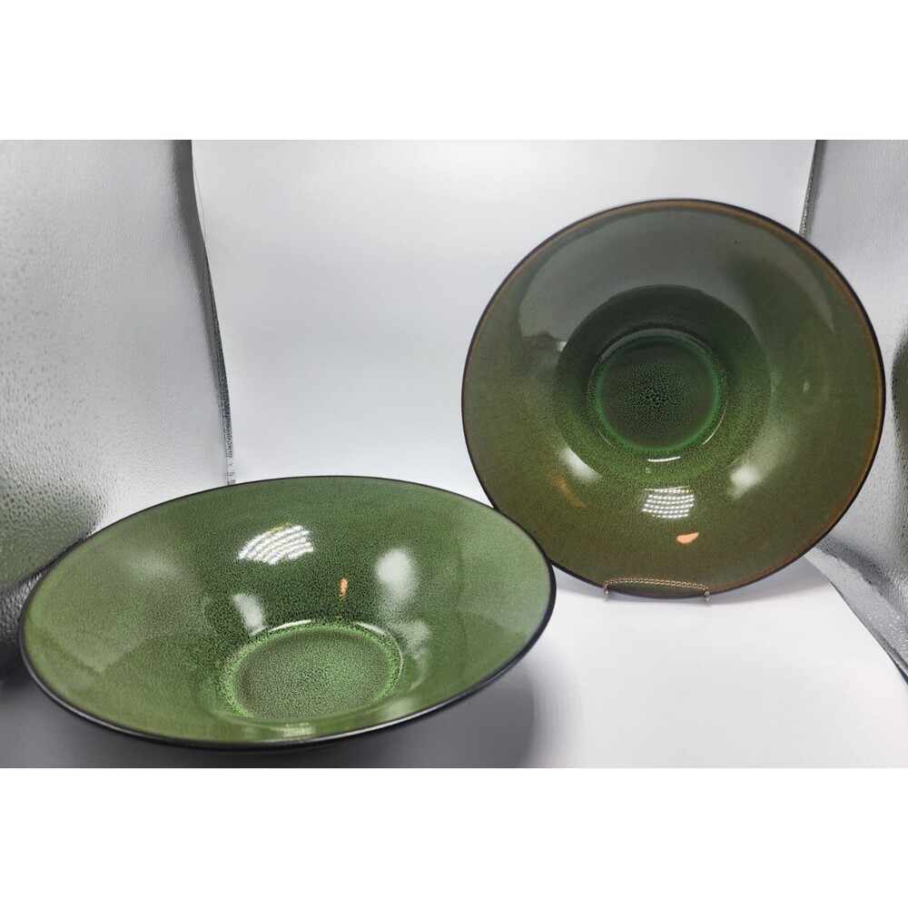 Gibson Gabbay Fusion Wasabi Green Serving/Ramen/Soup/Everything Bowl READ!!!!